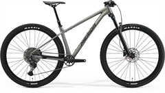 BIG.NINE TR 600 Silk Gunmetal Grey(Black)