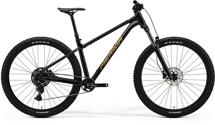 BIG.TRAIL 300 Black(Brown)