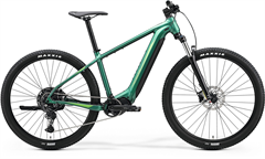 eBIG.NINE 400  Matt Evergreen(Green)