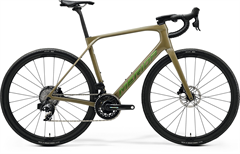 SCULTURA ENDURANCE GR 8000 Oak Bork(Green)